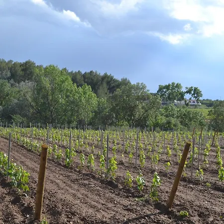 Casa Cal Tofol * Font-Rubi